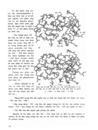 Hóa sinh công nghiệp