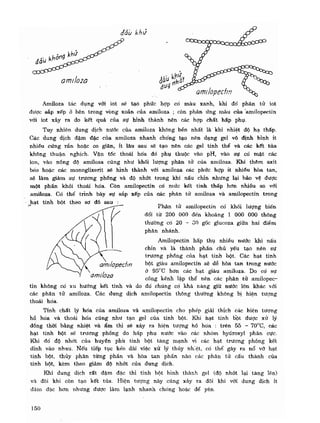 Hóa sinh công nghiệp
