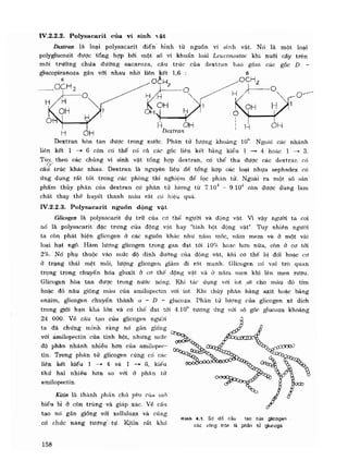 Hóa sinh công nghiệp