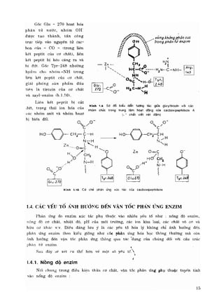 Hóa sinh công nghiệp