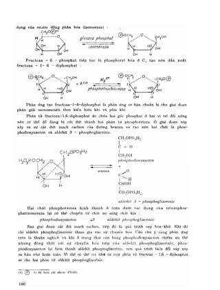 Hóa sinh công nghiệp