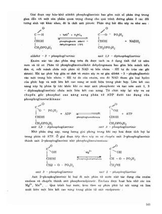 Hóa sinh công nghiệp