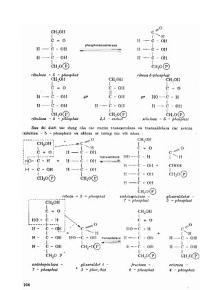 Hóa sinh công nghiệp