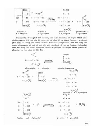 Hóa sinh công nghiệp