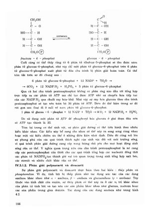 Hóa sinh công nghiệp