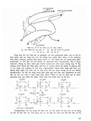 Hóa sinh công nghiệp