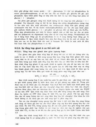 Hóa sinh công nghiệp