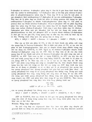 Hóa sinh công nghiệp