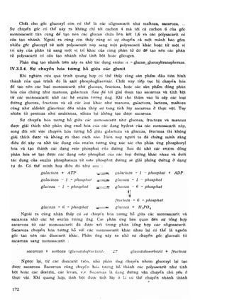 Hóa sinh công nghiệp