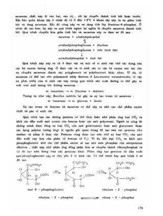 Hóa sinh công nghiệp