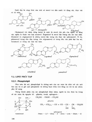 Hóa sinh công nghiệp