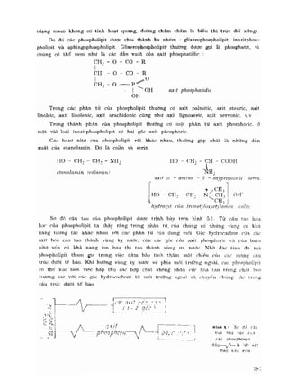 Hóa sinh công nghiệp