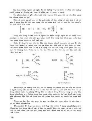 Hóa sinh công nghiệp