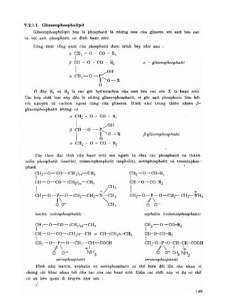Hóa sinh công nghiệp