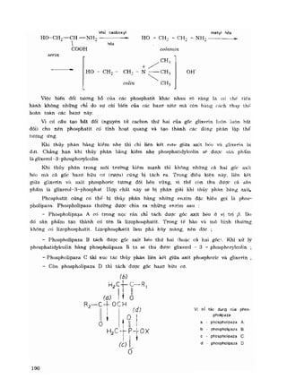 Hóa sinh công nghiệp