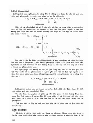 Hóa sinh công nghiệp