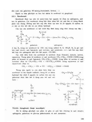 Hóa sinh công nghiệp
