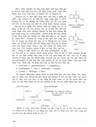 Hóa sinh công nghiệp