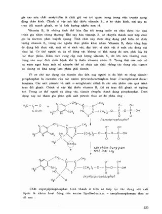 Hóa sinh công nghiệp