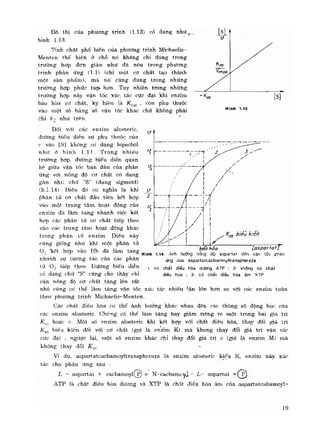 Hóa sinh công nghiệp