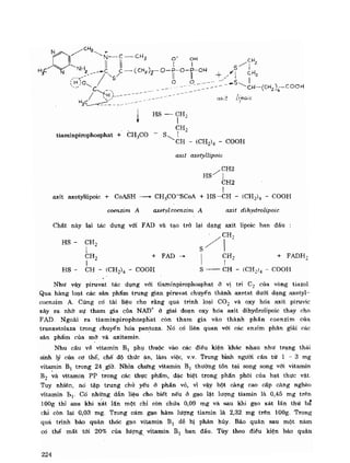 Hóa sinh công nghiệp
