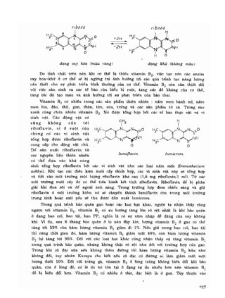 Hóa sinh công nghiệp