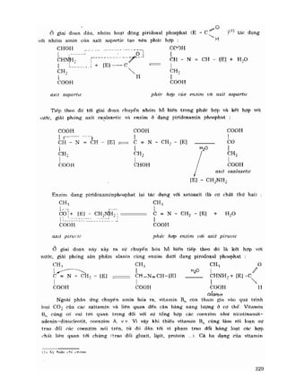Hóa sinh công nghiệp