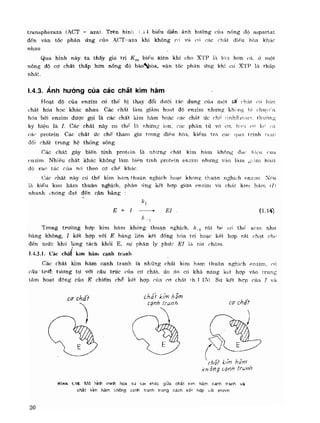 Hóa sinh công nghiệp