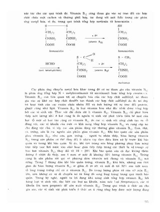 Hóa sinh công nghiệp