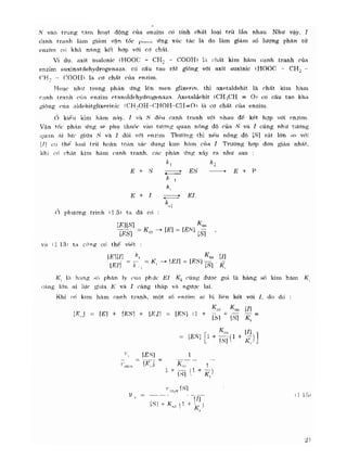 Hóa sinh công nghiệp