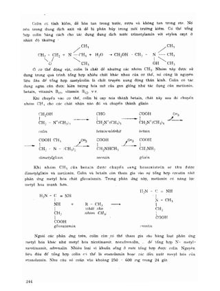 Hóa sinh công nghiệp