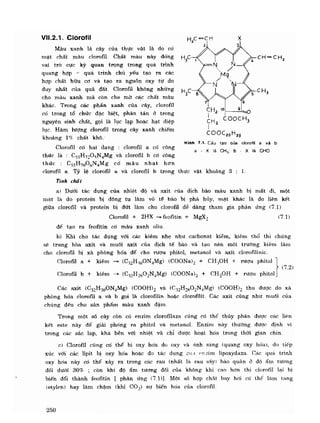 Hóa sinh công nghiệp