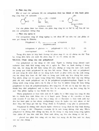 Hóa sinh công nghiệp