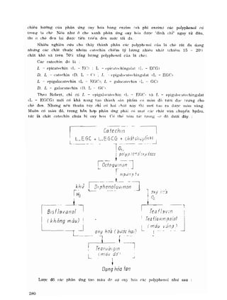 Hóa sinh công nghiệp