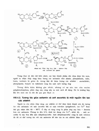 Hóa sinh công nghiệp