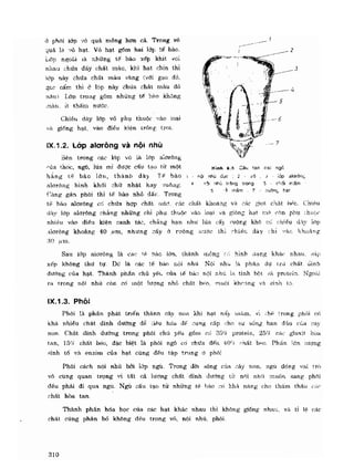 Hóa sinh công nghiệp