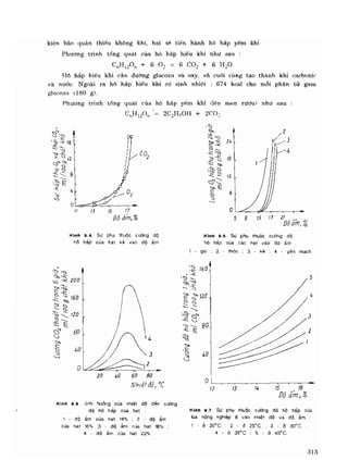 Hóa sinh công nghiệp