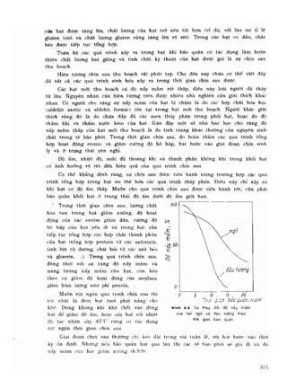 Hóa sinh công nghiệp