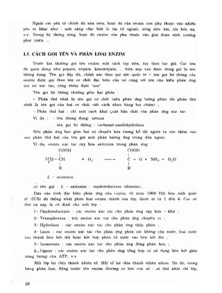 Hóa sinh công nghiệp