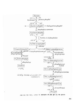 Hóa sinh công nghiệp