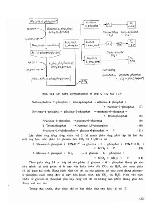 Hóa sinh công nghiệp