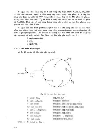 Hóa sinh công nghiệp