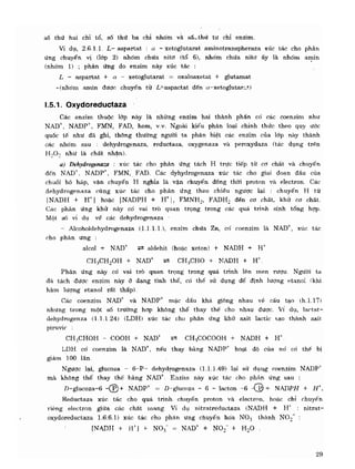 Hóa sinh công nghiệp