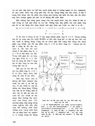 Hóa sinh công nghiệp