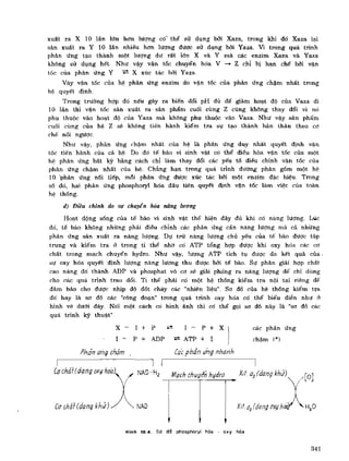 Hóa sinh công nghiệp