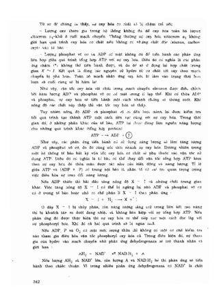 Hóa sinh công nghiệp