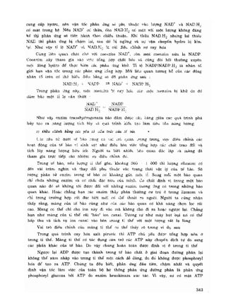 Hóa sinh công nghiệp