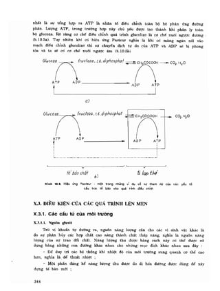 Hóa sinh công nghiệp