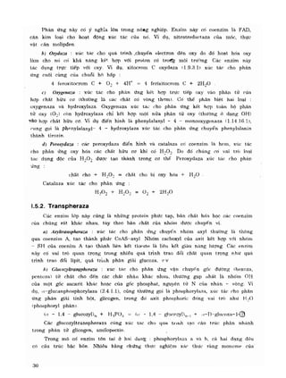 Hóa sinh công nghiệp