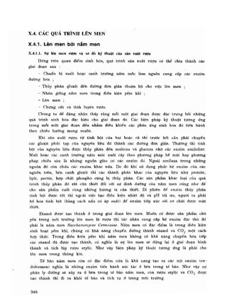 Hóa sinh công nghiệp